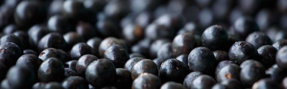 ACAI BERRIES FOR SKIN