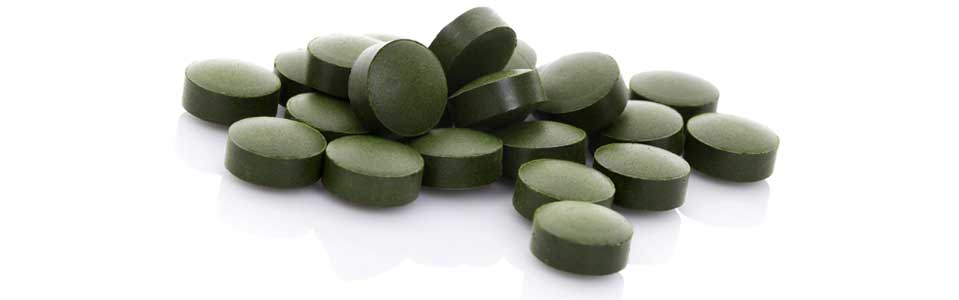 CHLORELLA, GREEN ALGAE