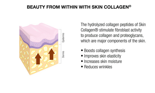 COLLAGEN PEPTIDES, FIBROBLAST STIMULATION CHART WITH SKIN COLLAGEN