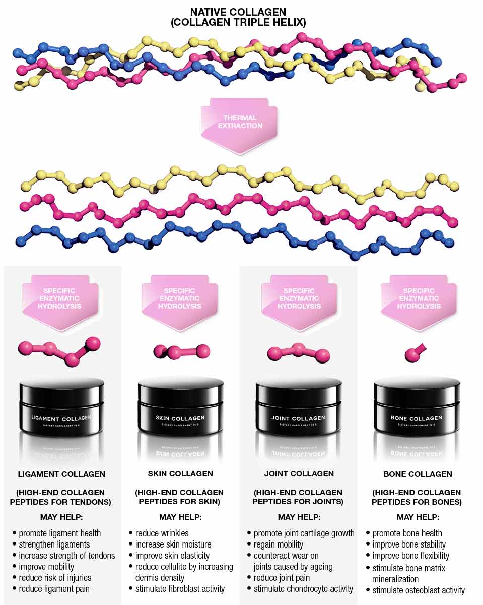 COLLAGEN PEPTIDES, MANUFACTURING CHART