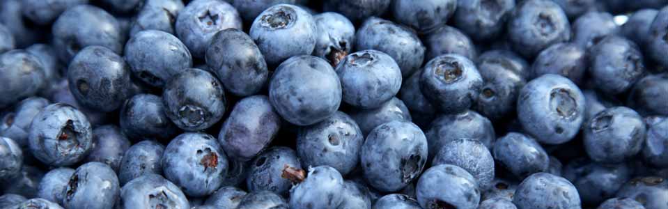 HEALTHY BILBERRIES