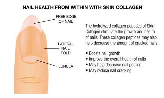 NAIL HEALTH WITH SKIN COLLAGEN