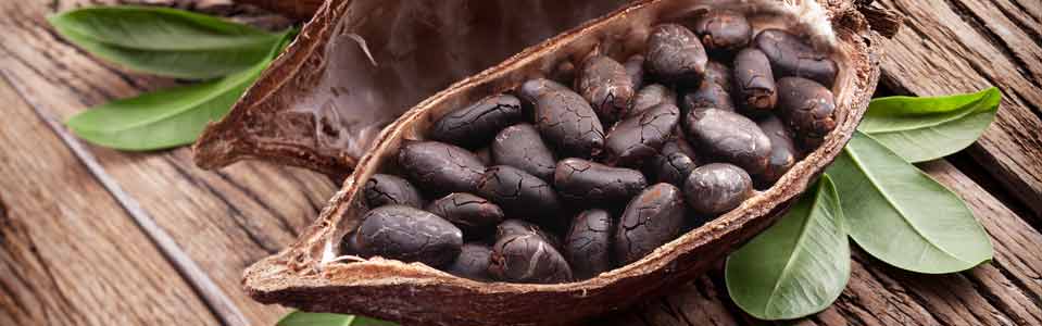 RAW CACAO